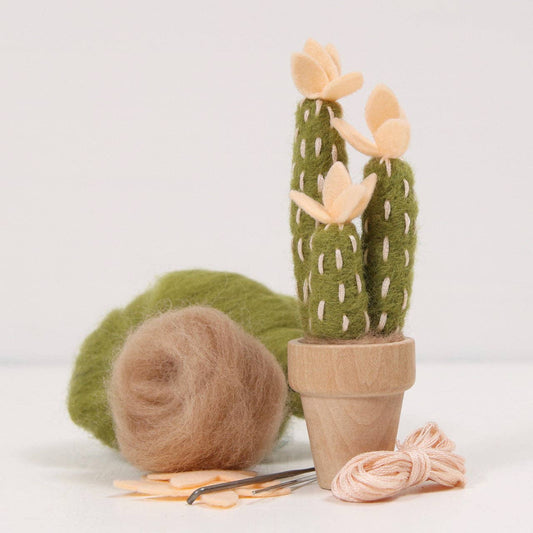 Needle Felting Kit, Peach Mojave