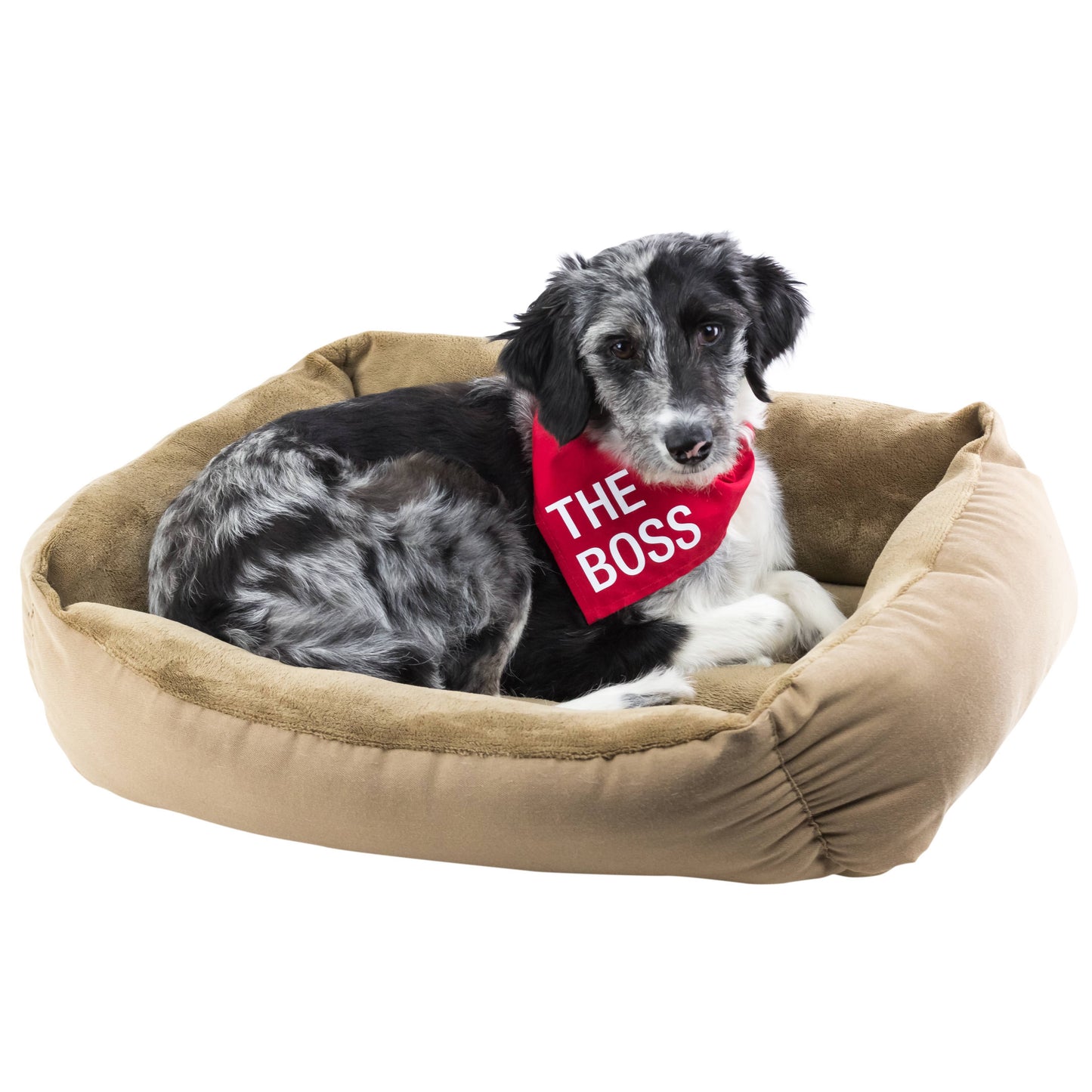 Free Kisses Large / X-Large Dog Bandana