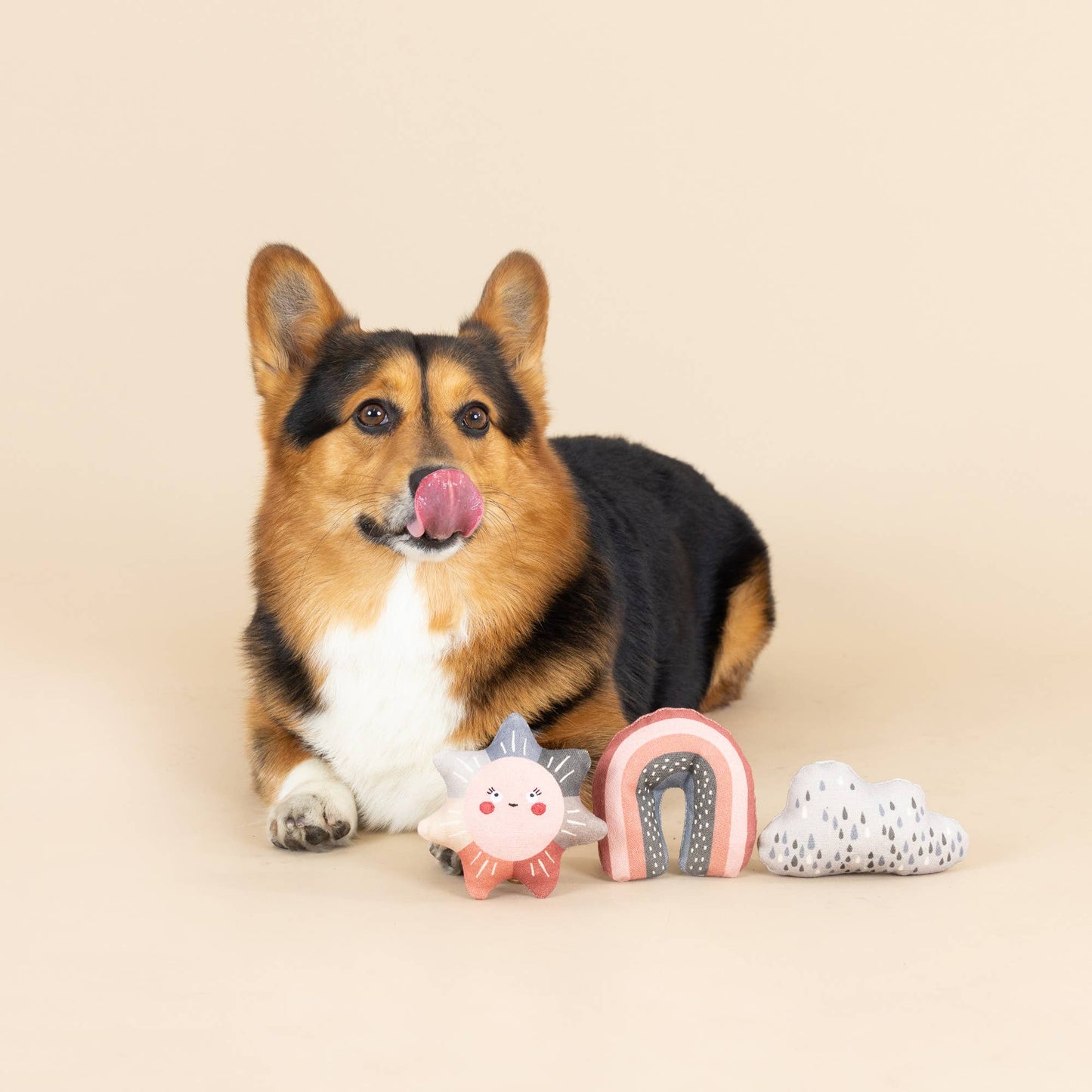 CANVAS MINI DOG TOY SET RAIN OR SHINE