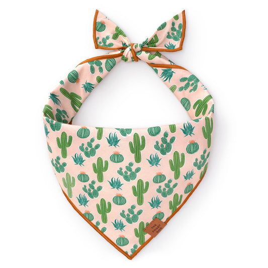 Desert Cactus Dog Bandana