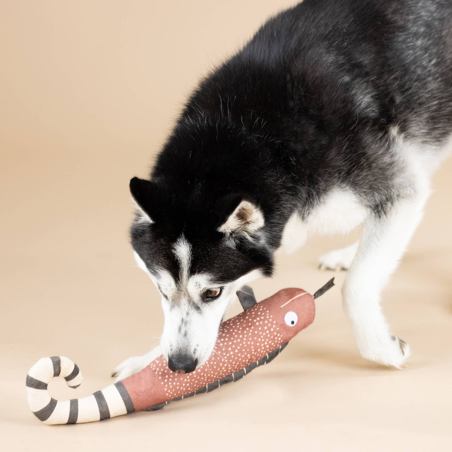 CANVAS SQUEAKER DOG TOY ONE IN A CHAMELEON