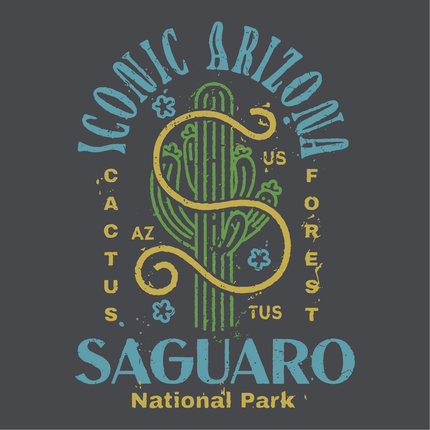 Big "S" Saguaro NP Ladies Boxy Crop