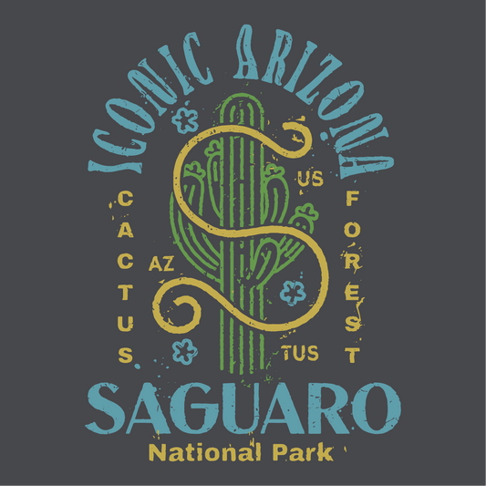 Big "S" Saguaro NP Ladies Boxy Crop